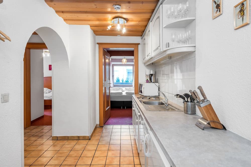 Appartements Traxl by Skinetworks