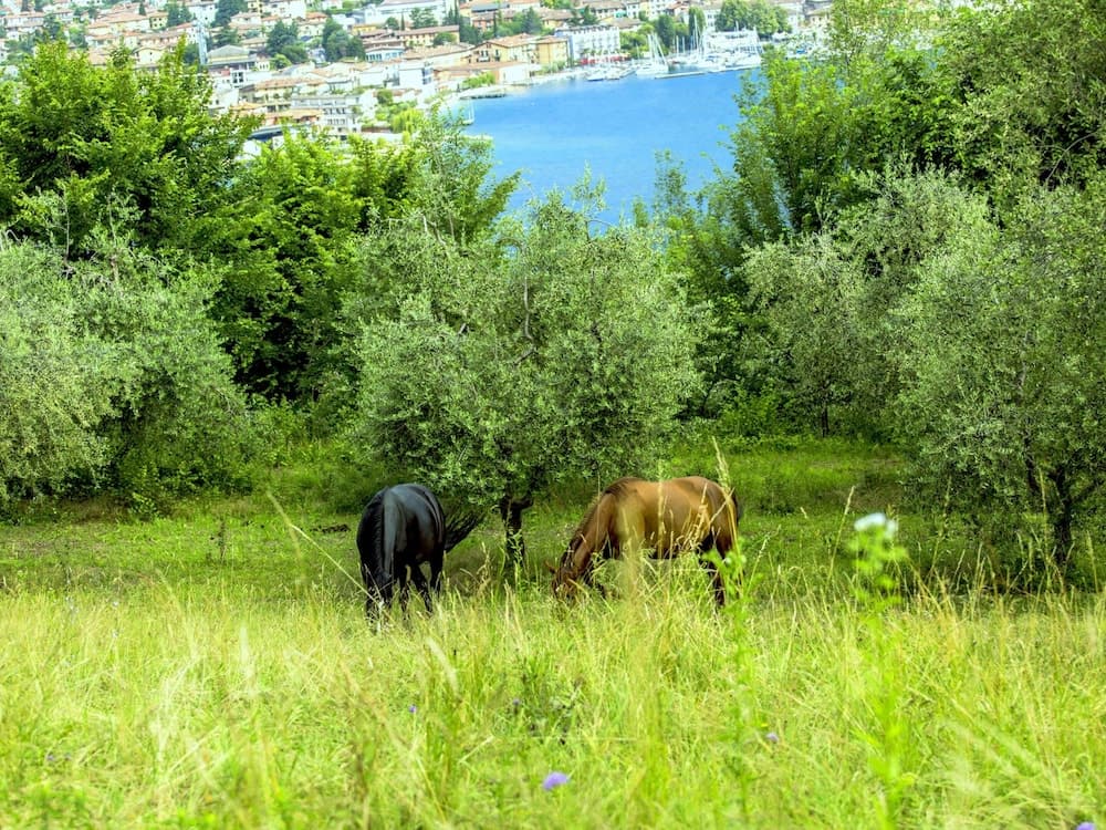 Belvilla by OYO Bilo Grande Della Cascina