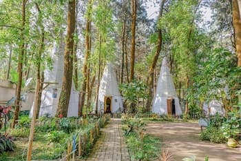 RedDoorz @ Apache Camp