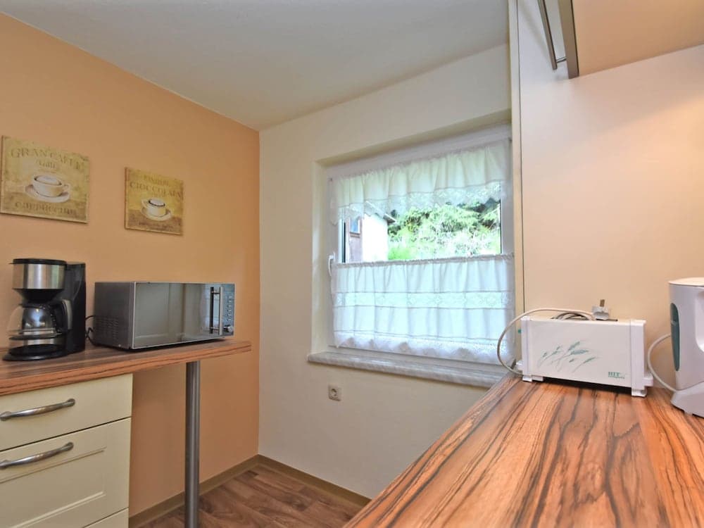 Apartment in Saxony With Terrace