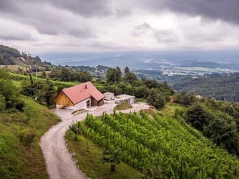Vineyard cottage Škatlar 3