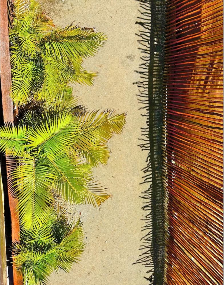 Ecoco Holbox - Ecochic - Holbox Retreat - Adults Only