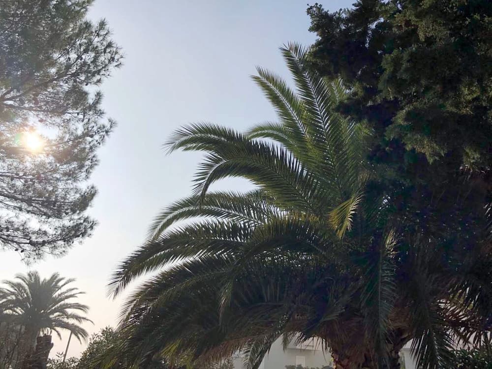 Spacious Apartment in Novalja near Sea