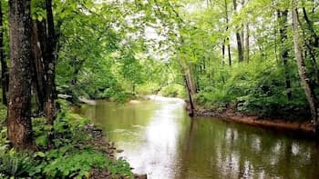 Cabin at Sleepy Creek - Charming Cabin