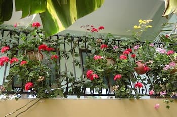 Banana House - Hostel