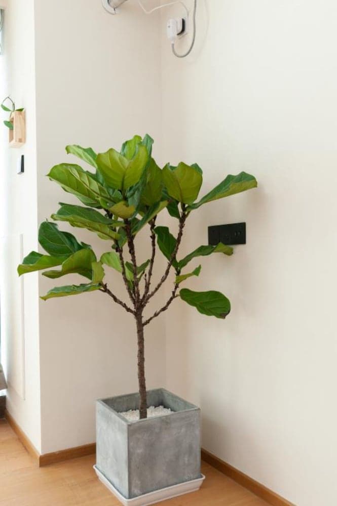 Foshan Wowa International Aparthotel