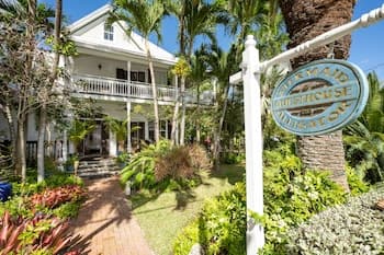 The Mermaid & Alligator