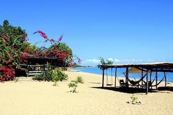 Mango Drift Lodge - Hostel