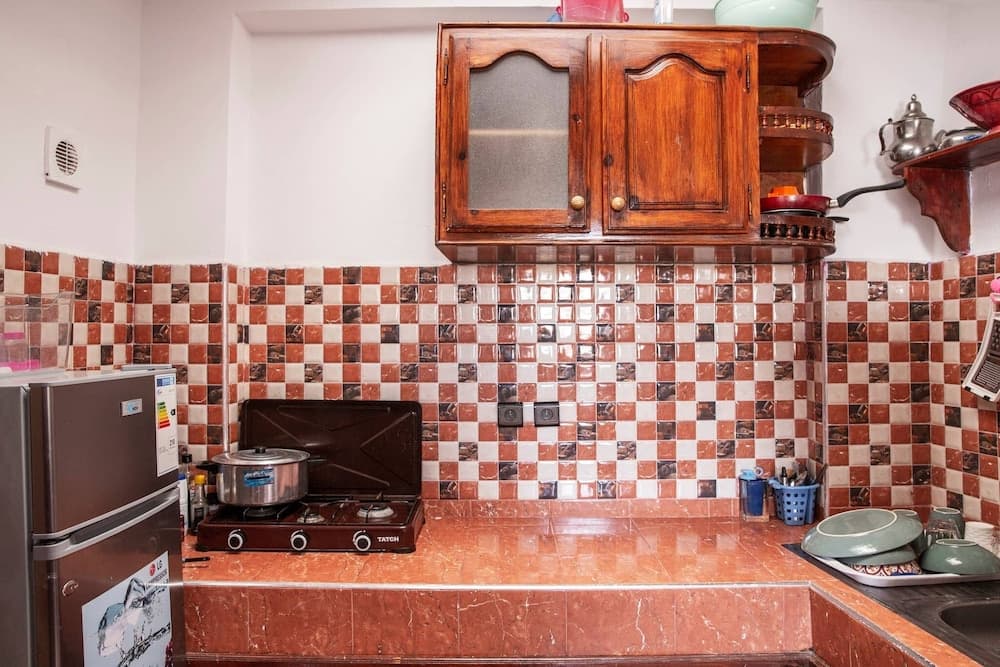 The Little Seagull 2