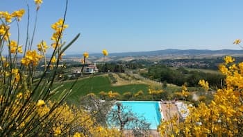 Holidays in Apartment With Swimming Pool in Tuscany Siena