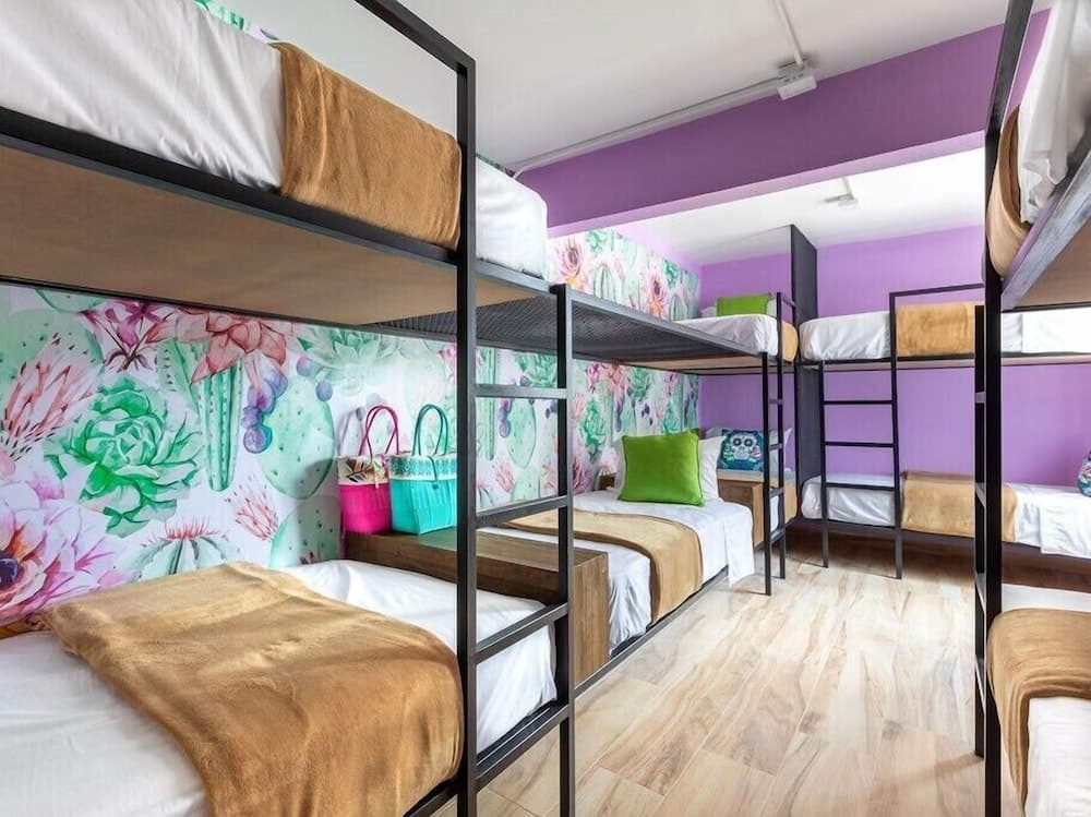 Casa Kanabri Hostal Boutique - Hostel