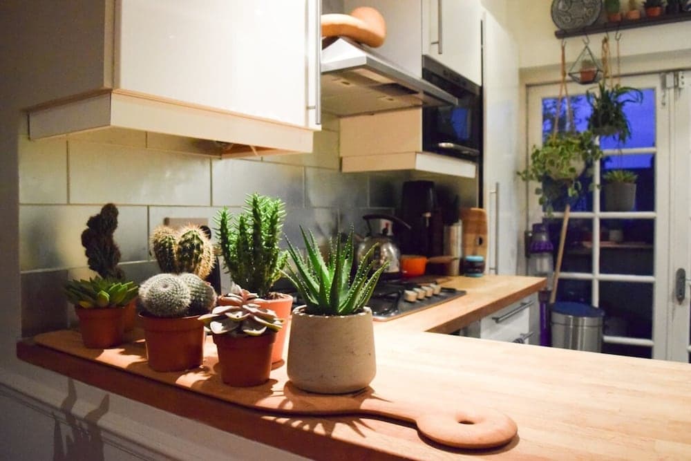 Stylish and Spacious Apartment With Terrace