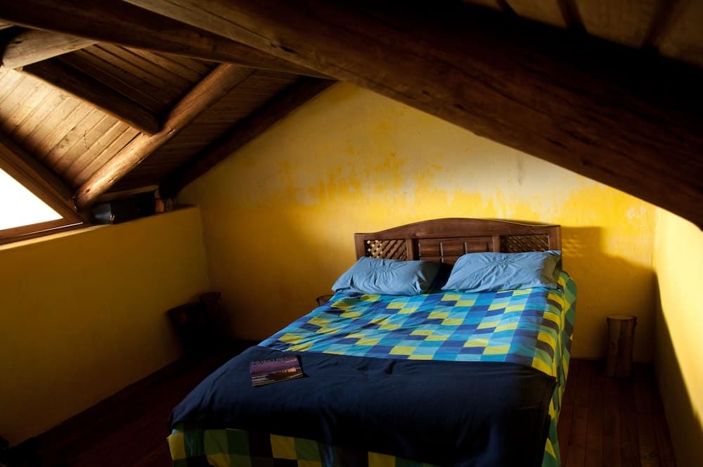 The Secret Garden Cotopaxi