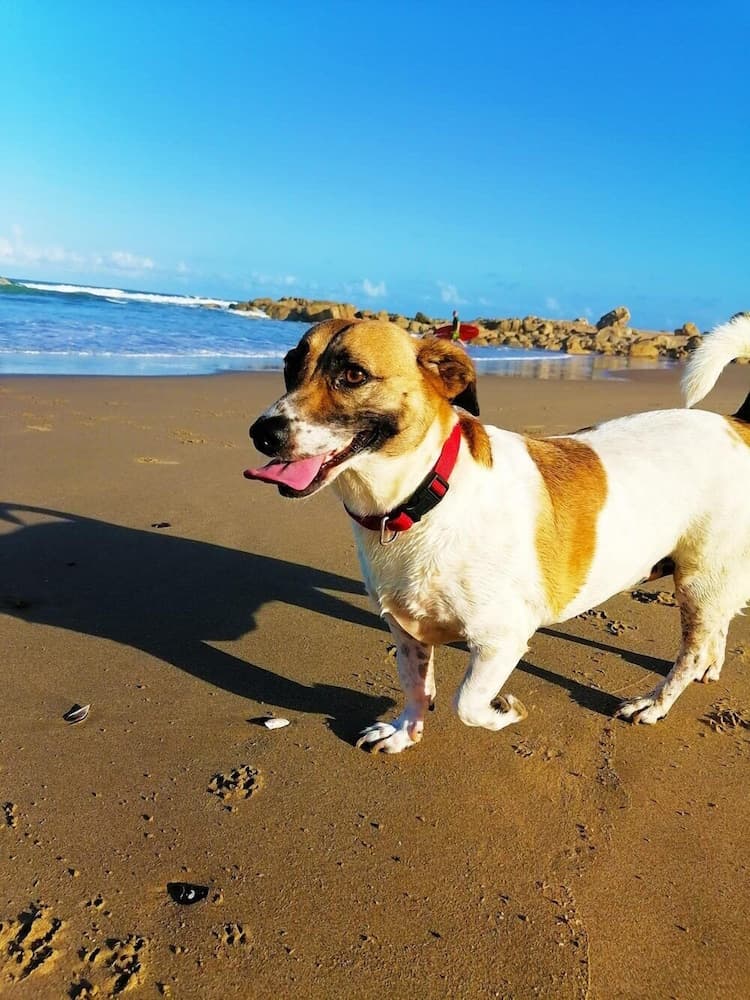 All the Tides - Rip Tide