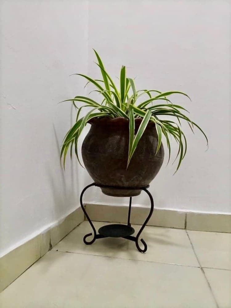 Esenyo Luxury Apartments