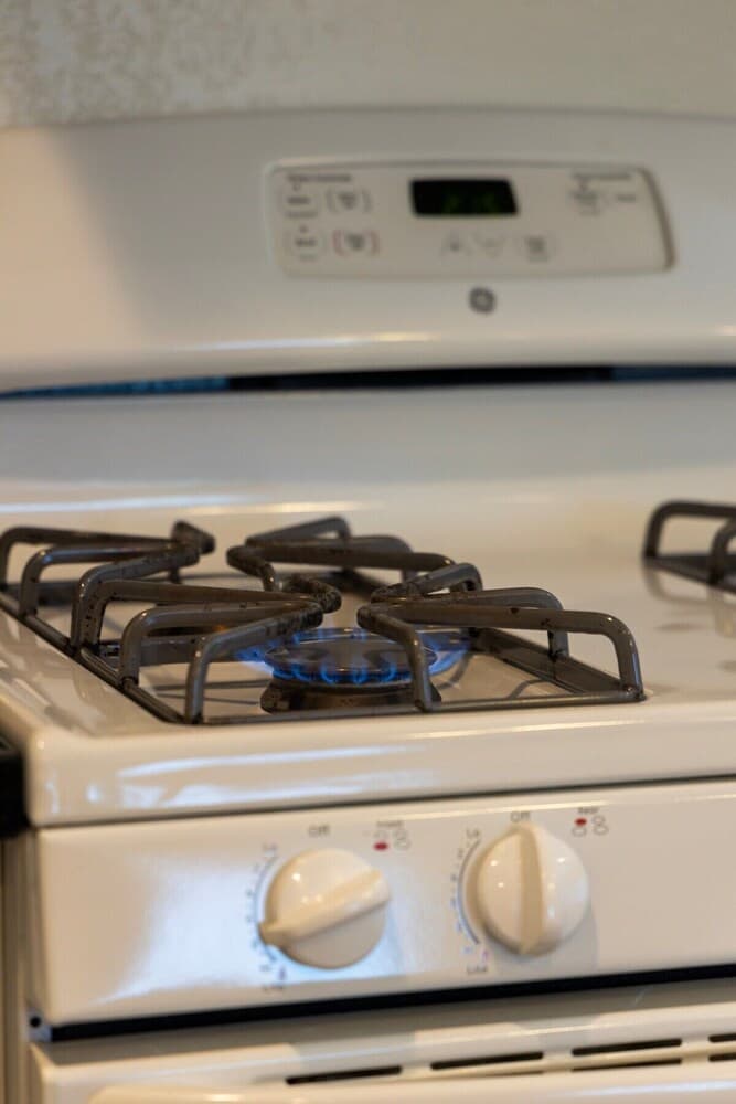 Peaceful 1-bedroom in South Bay