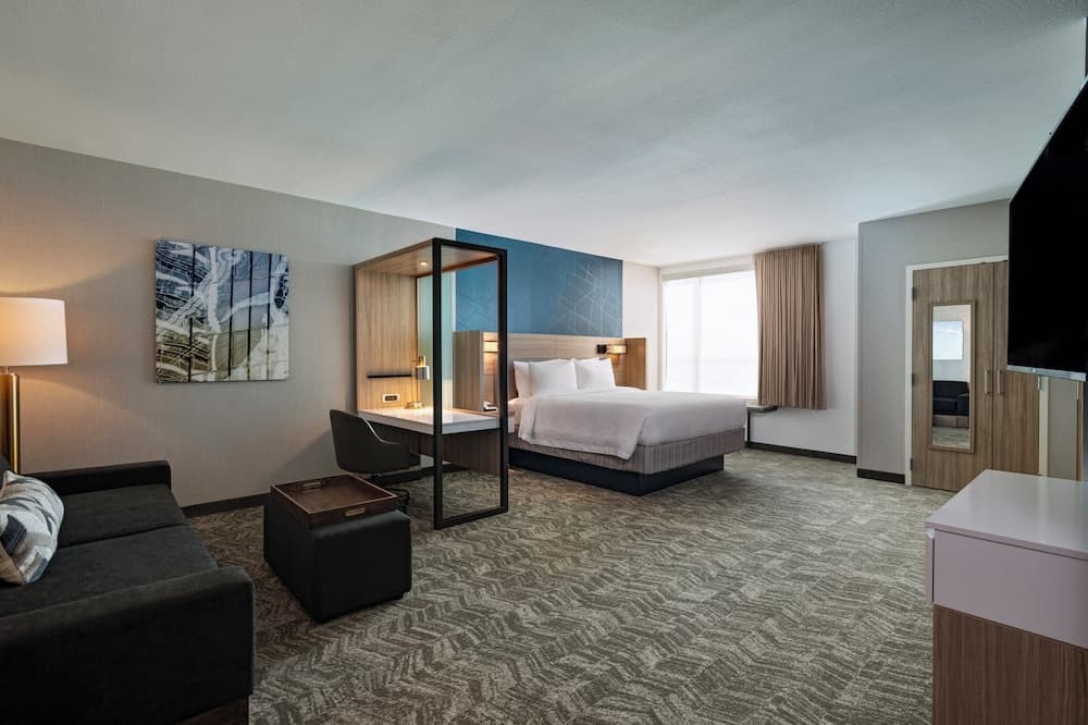SpringHill Suites by Marriott Dallas Richardson/University Area