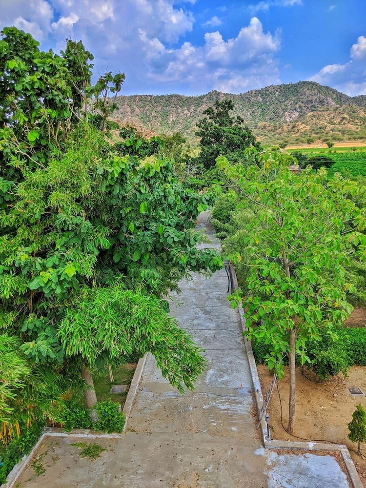 Nurture by Madpackers