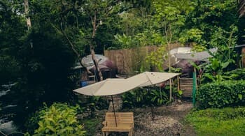 Mindo GlamBird Glamping &amp; Lodge