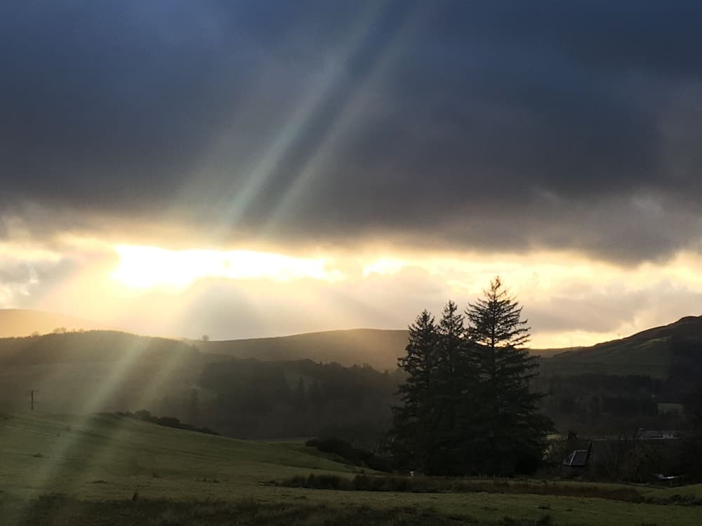 Cosy Woodland off Grid Shepherds Hut - Rowan