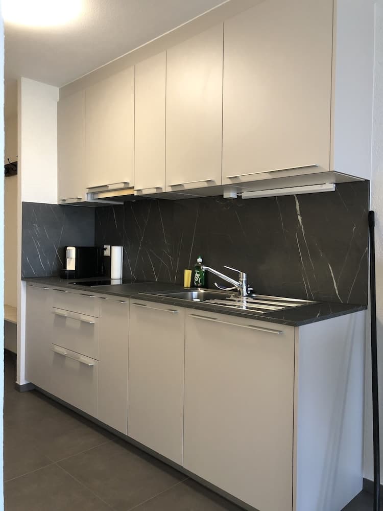 Amazing Studio In Lausanne Close To Epfl and Unil