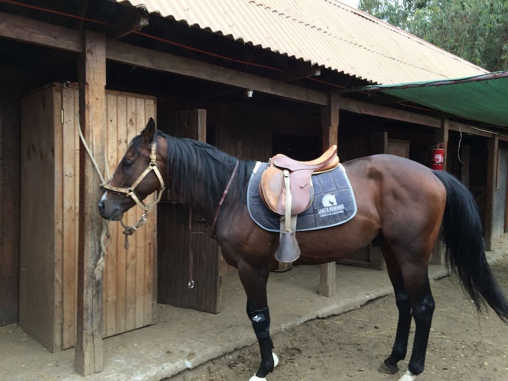 Visit our Wonderful Hotel Scandinavia B b