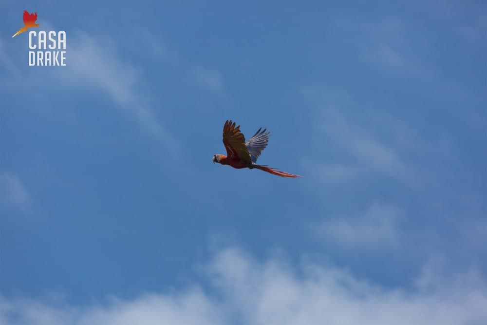 Room-private Honeymoon Bungalow