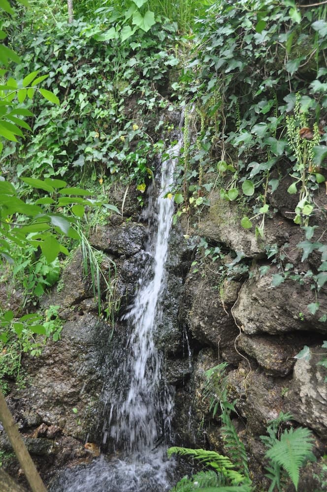 Room-paradise is Real at Vale Martinho Z