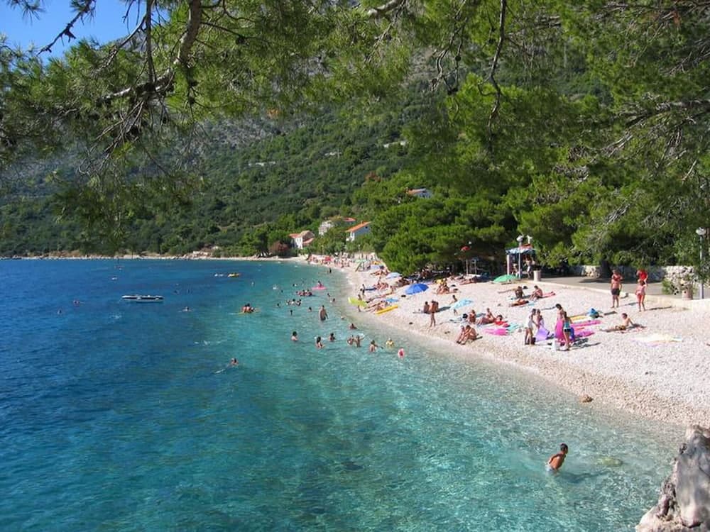 Apartments Reljic A842