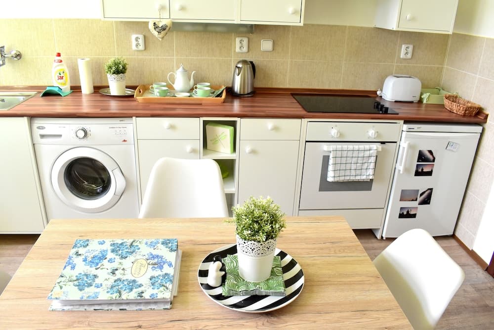 DESIGNER FLAT in CITY CENTER with SAUNA