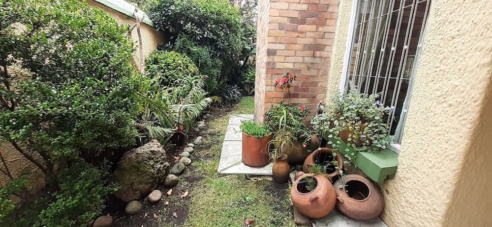 The Hostel Bogota Real