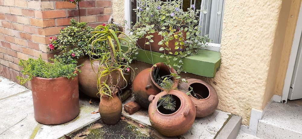 The Hostel Bogota Real