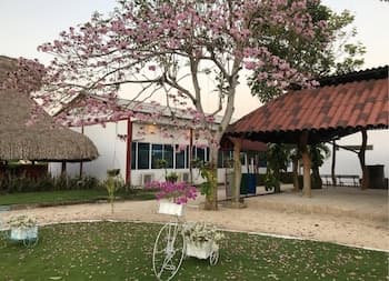 Hotel Shalom - Hostel