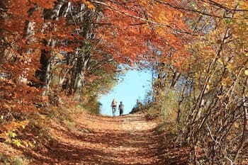 Hotel NAT Piwniczna Zdrój