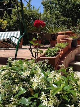 Affittacamere Ciro's House