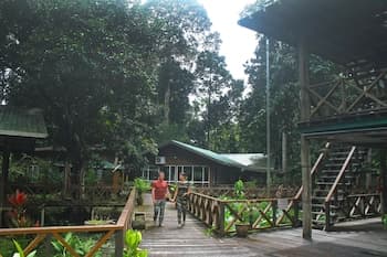 Borneo Nature Lodge