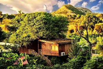 The Tree House Resort