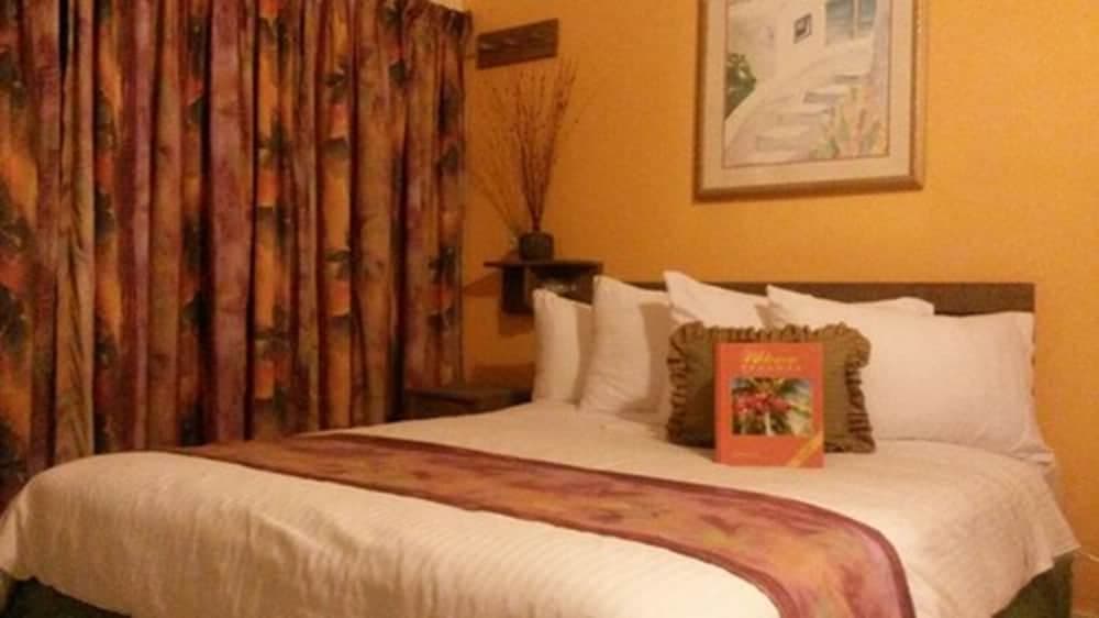 Land Shark Coco Plum Resort