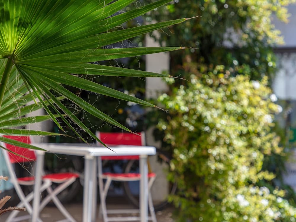 Paradise Departamentos