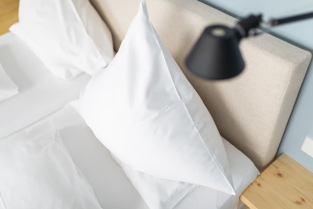 Logierhaus Austernfischer