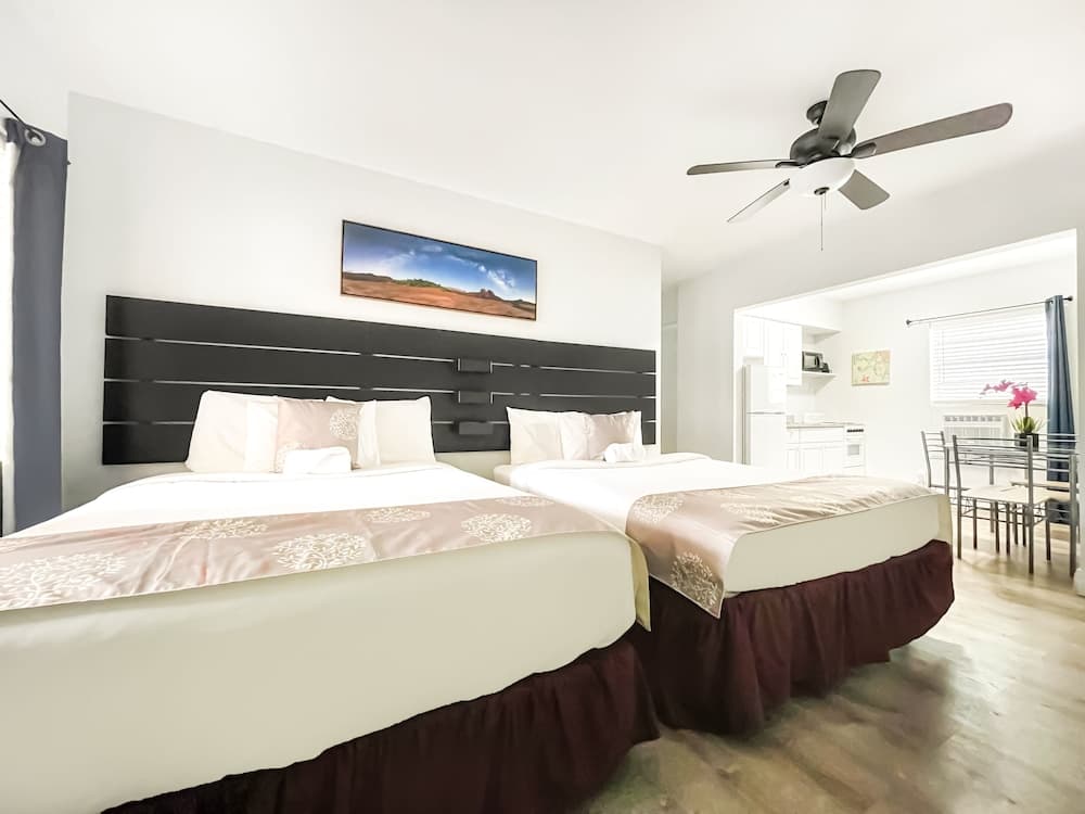 Hollywood Beach Seagull