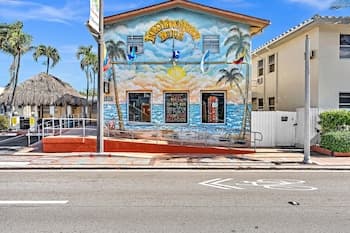 Hollywood Beach Seagull