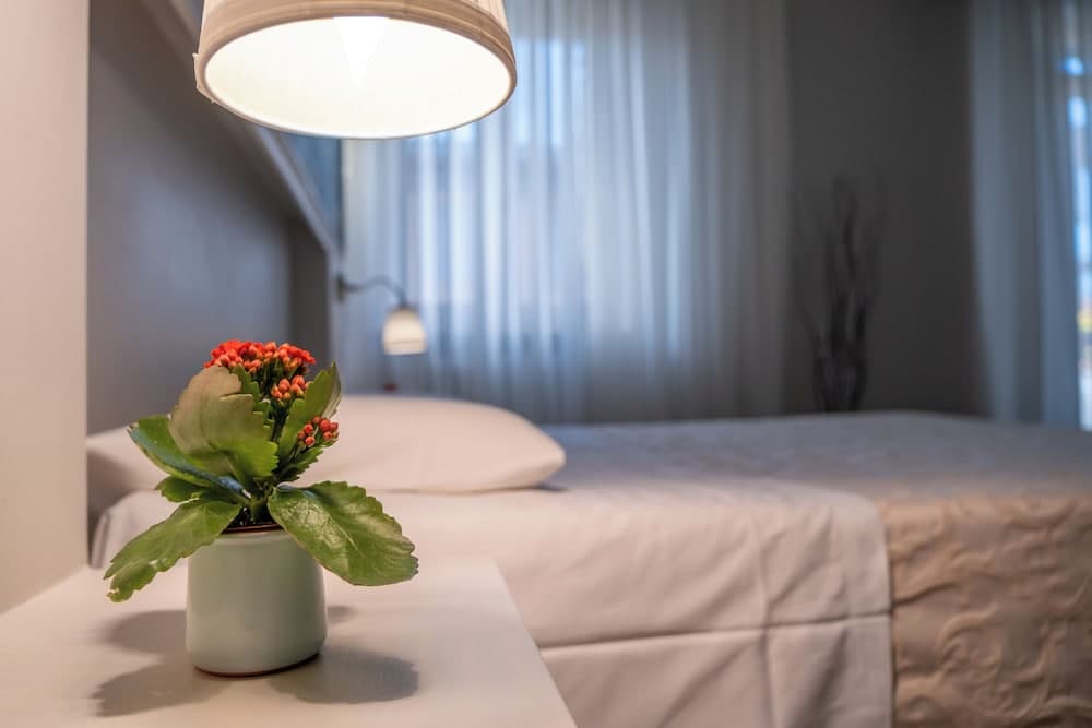 Bed & Breakfast Accademia