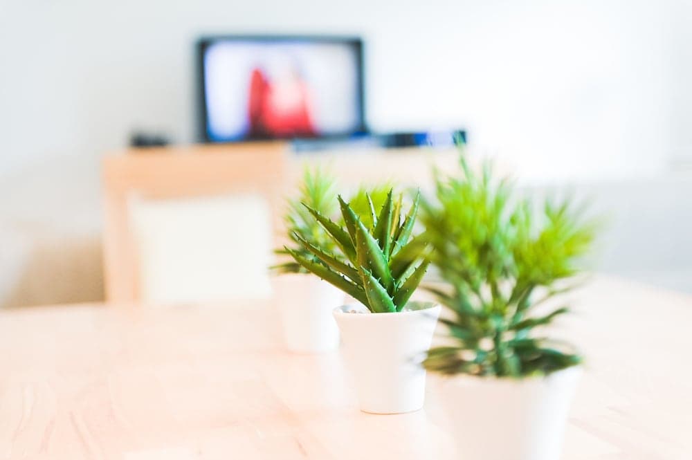 AlpenParks Chalet & Apartment AreitXpress