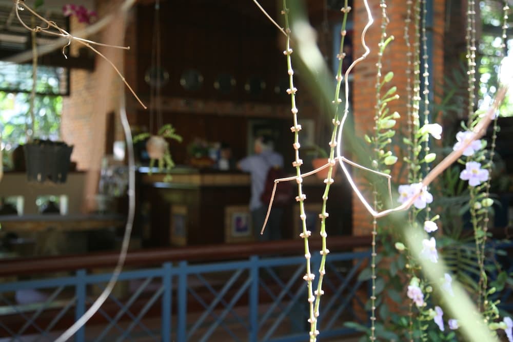 Mui Ne Resort by TheSinhTourist