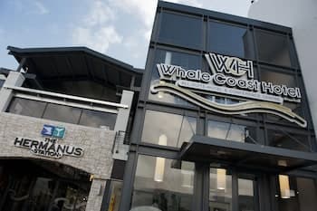 Whale Coast All Suite Hotel