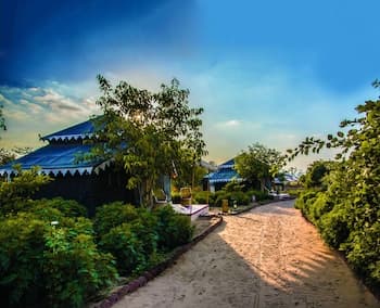 Orchard Tents & Tranquility- Glamping