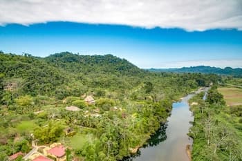 Sleeping Giant Rainforest Lodge