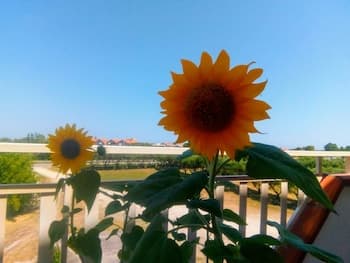 Triple Room for Rent With Private Bathroom in Molise - Wifi