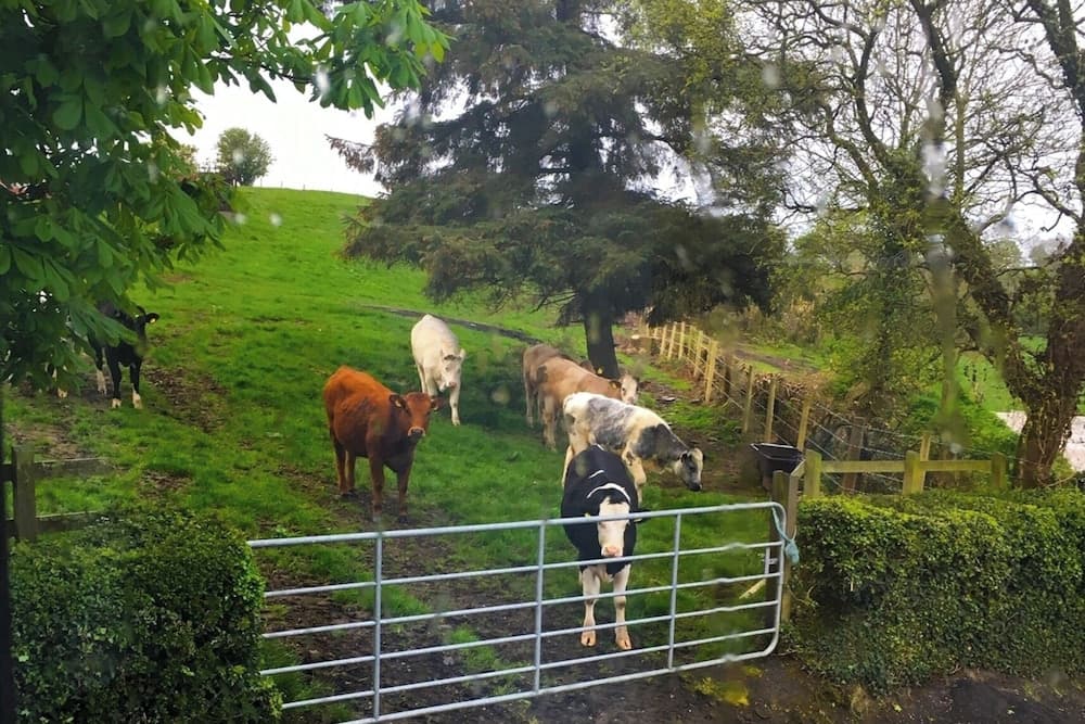 Apartment Sleeps 2 With Wood Fire